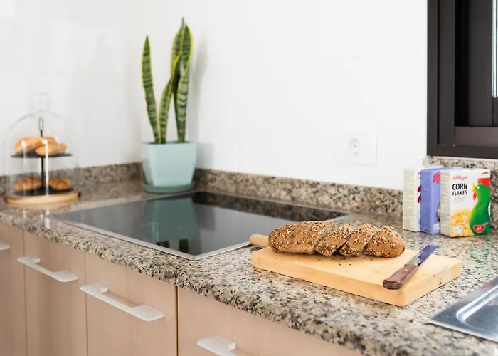 Delmar * 查德尔帕罗奥